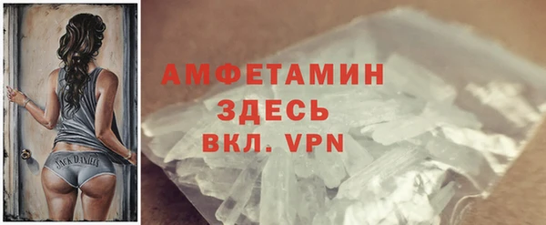 сатива Беломорск