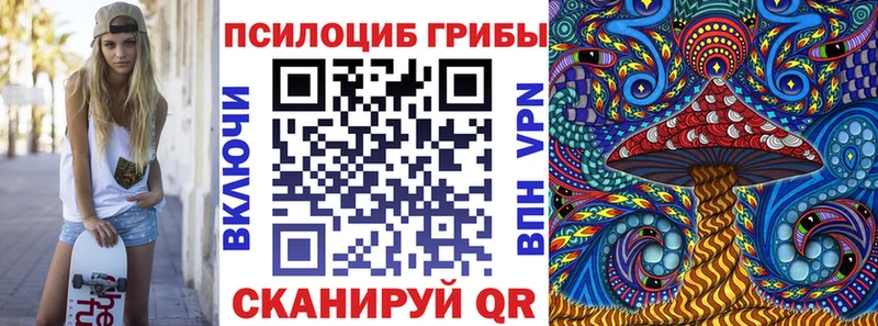 Псилоцибиновые грибы Cubensis Нижняя Салда
