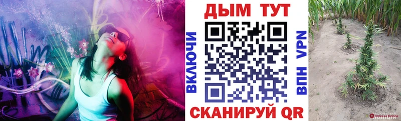 Купить  Нижняя Салда  Каннабис VHQ 